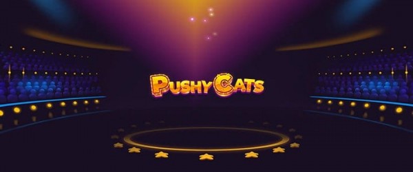 SPORTS SOS | Pushy Cats 확인 필수