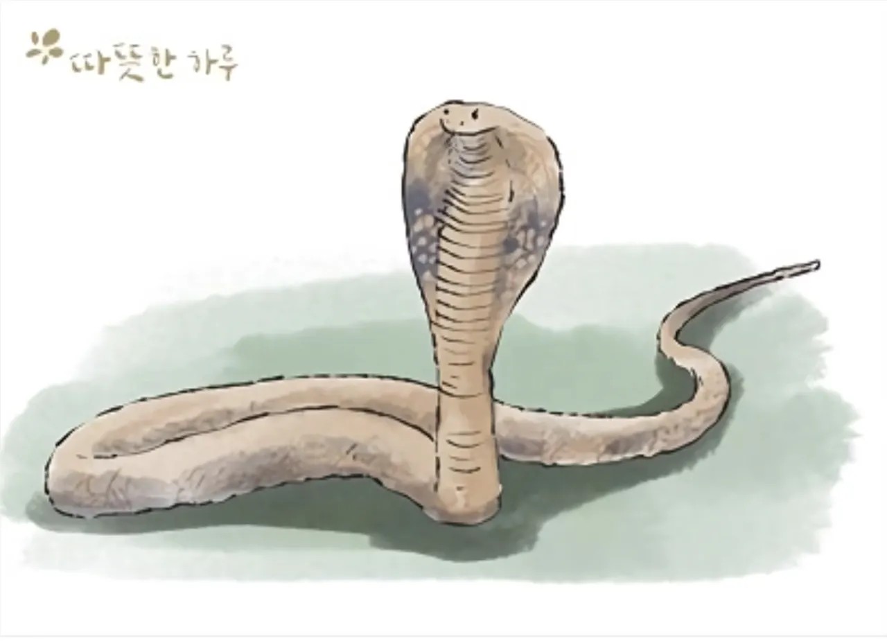 SPORTS SOS | 코브라 효과(Cobra effect) 의 무서움