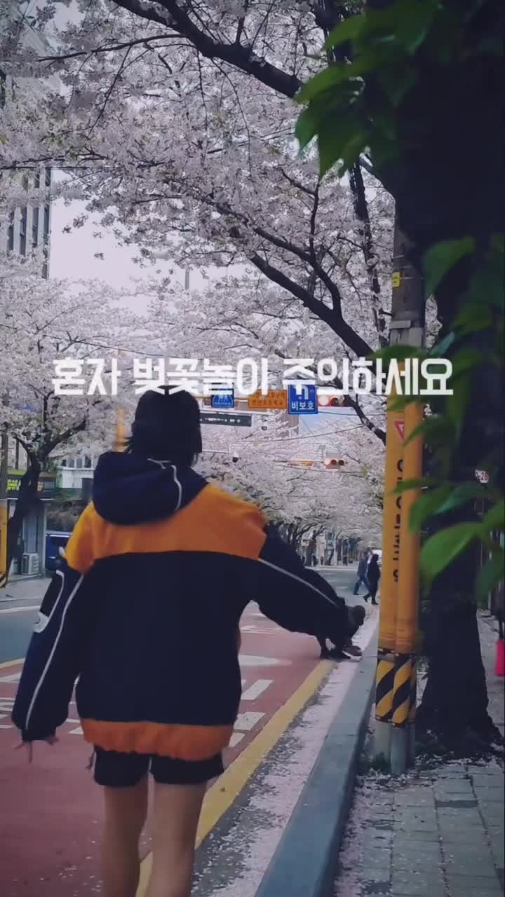 SPORTS SOS | 혼자 벚꽃놀이 주의하세요 (필독)