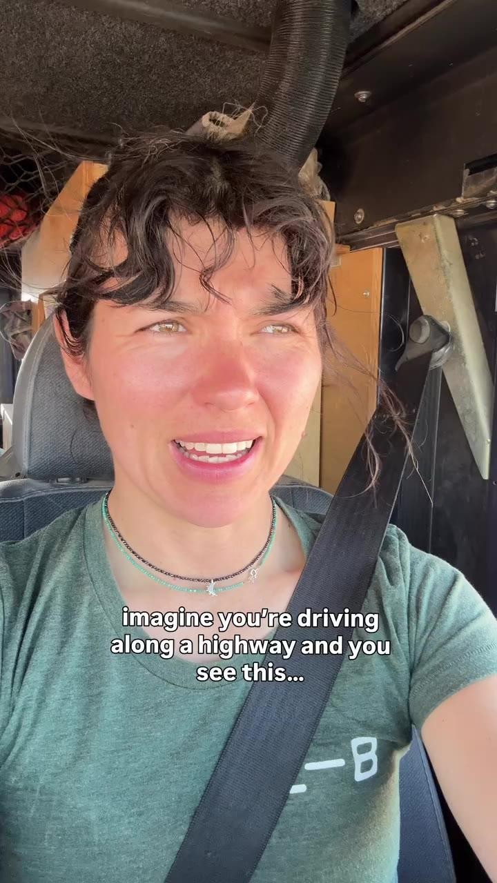 SPORTS SOS | 벌레 주의)운전 중 거대 메뚜기떼를 만나면 생기는 일 확인 필수