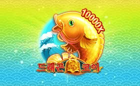 SPORTS SOS | 드래곤 코이 확인 필수