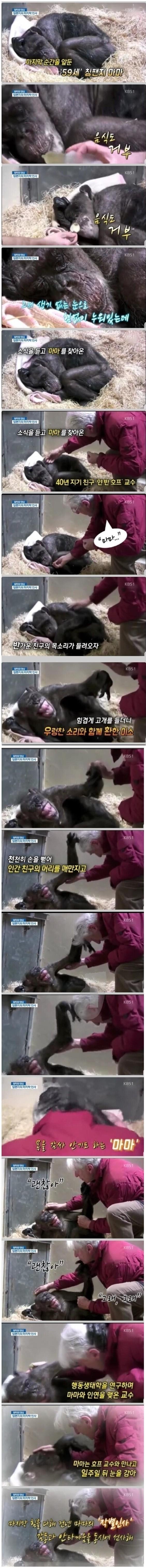 SPORTS SOS | 40년지기 친구와의 마지막 만남 확인 필수