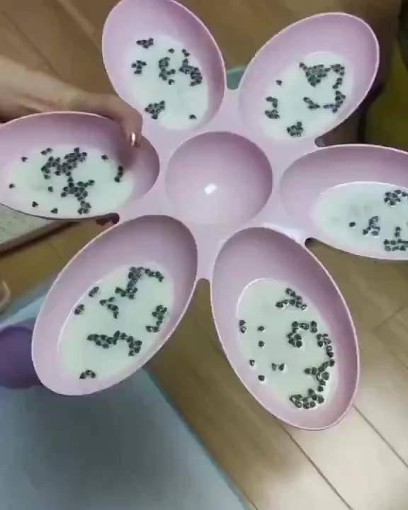 SPORTS SOS | 새끼 고양이들 식사 시간