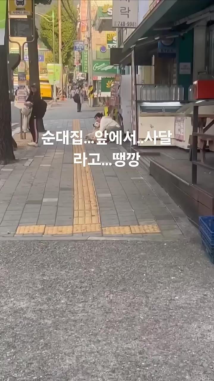 SPORTS SOS | 순대국집 앞에서 사달라고 땡깡부리는 멍멍이.gif [속보]