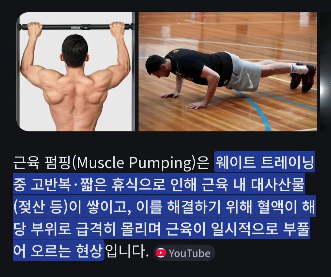 SPORTS SOS | 헬스 근육펌핑 원리 [속보]