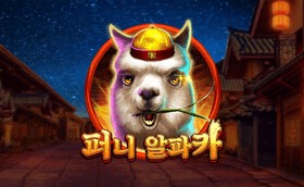 SPORTS SOS | 퍼니 알파카 [속보]