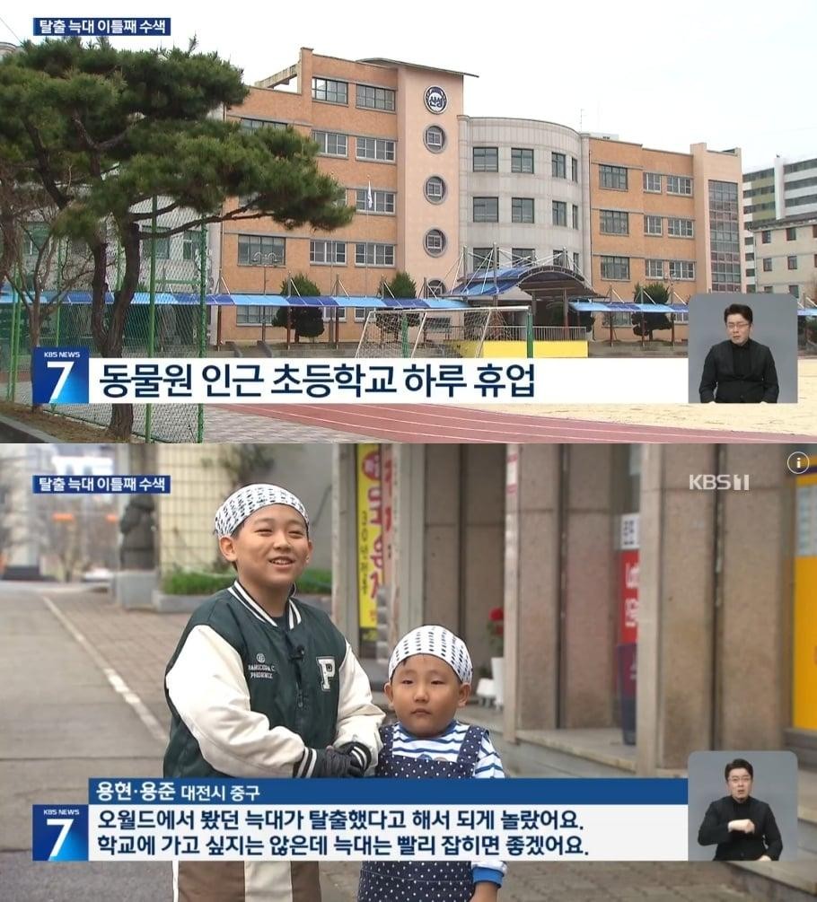 SPORTS SOS | 탈출 늑대 피해겪은 주변 시민 인터뷰 정보