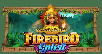 SPORTS SOS | Firebird Spirit 확인 필수