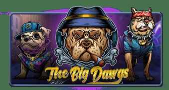 SPORTS SOS | The Big Dawgs 확인 필수
