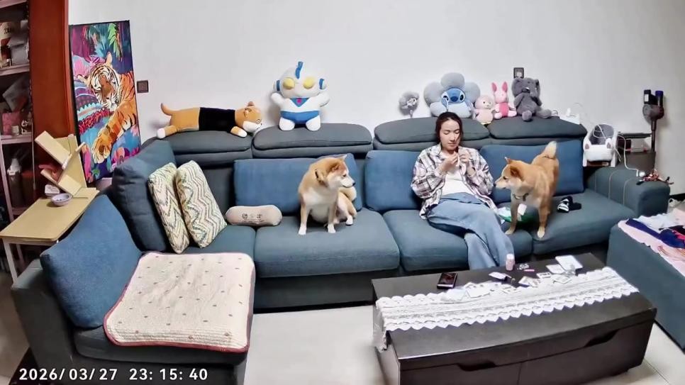 SPORTS SOS | 사람 문 개 훈육하는 여자... 확인 필수