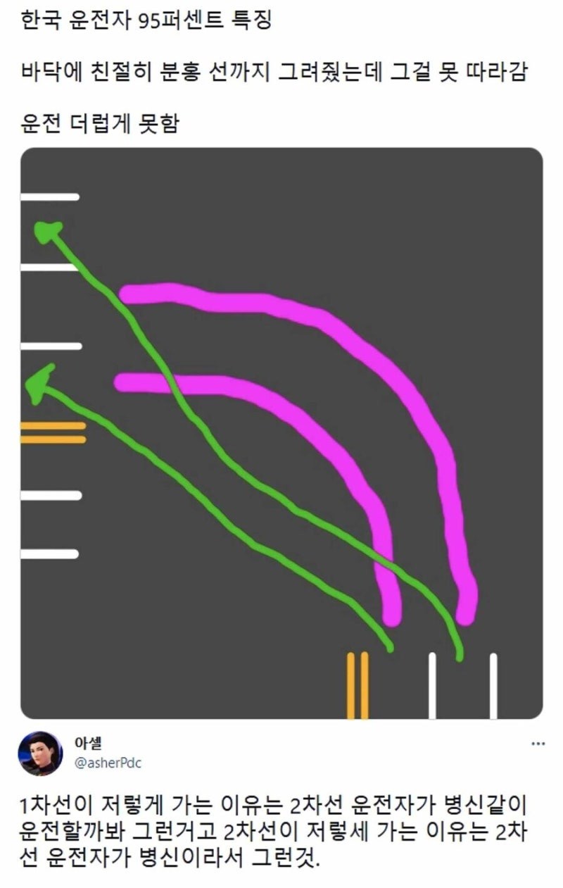 SPORTS SOS | 우리나라 운전자 특징 (필독)