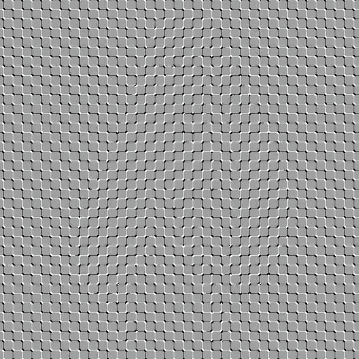 SPORTS SOS | 왼쪽 뇌 주로 사용=토끼, 오른쪽 뇌 주로 사용=고양이 보임