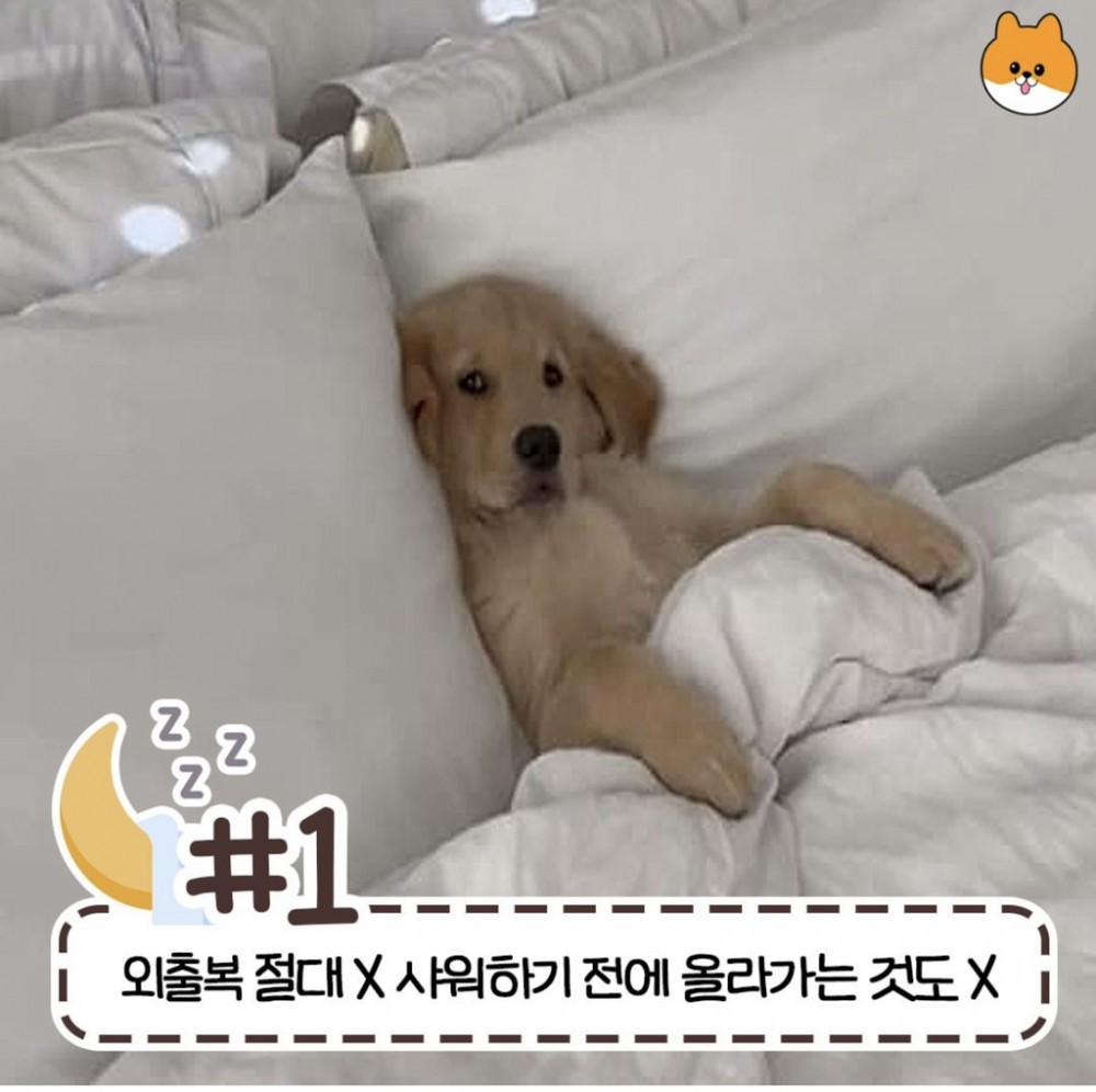 SPORTS SOS | 사람마다 갈린다는 침대 허용 가능한 범위 [속보]