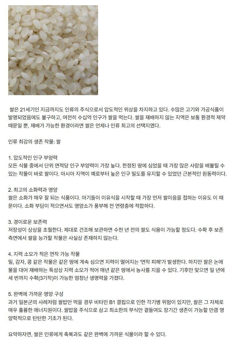 SPORTS SOS | 인류가 발견한 완벽에 가까운 식물... 확인 필수