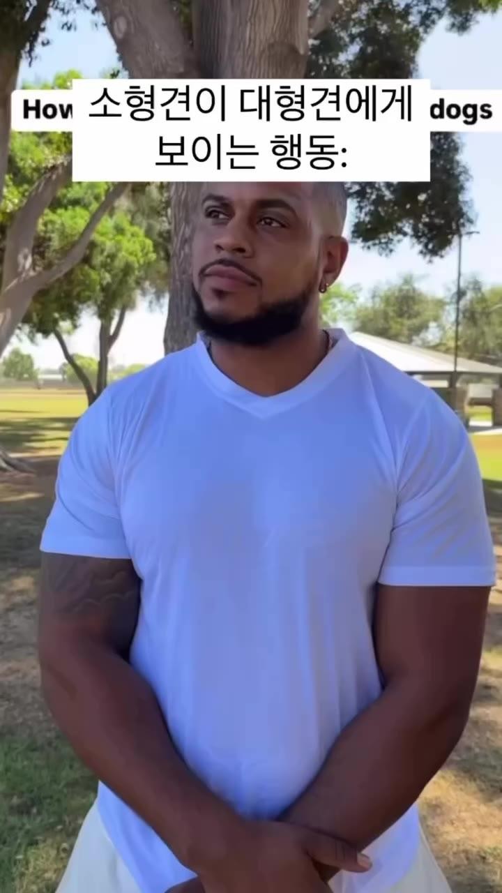 SPORTS SOS | 소형견이 대형견한테 깝치는 심리.gif