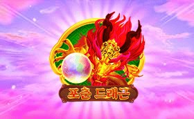 SPORTS SOS | 포춘 드래곤 확인 필수