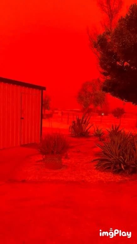 SPORTS SOS | 모래 폭풍으로 인해 붉게 물든 호주 [속보]