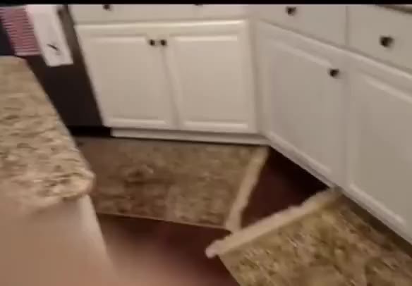 SPORTS SOS | 목이 아픈 고양이의 야옹 (필독)