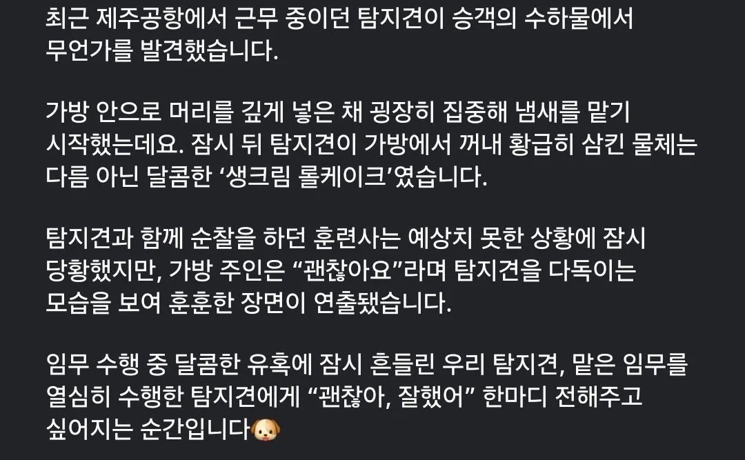 SPORTS SOS | 제주공항 탐지견이 발견한 확인 필수