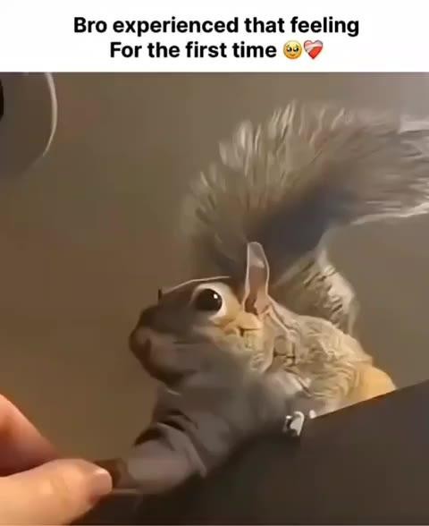 SPORTS SOS | 스킨쉽 처음 당한 다람쥐