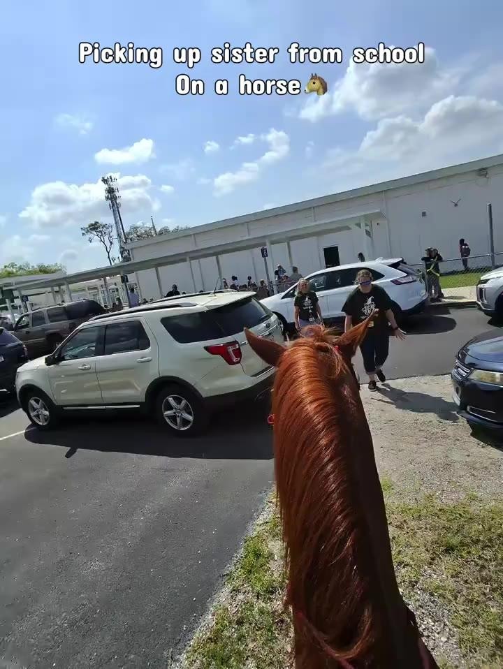 SPORTS SOS | 말 타고 학교에 동생 데리러 간 친오빠. 확인 필수