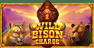 SPORTS SOS | Wild Bison Charge™ 확인 필수