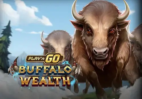 SPORTS SOS | Play'n GO Buffalo of Wealth [속보]