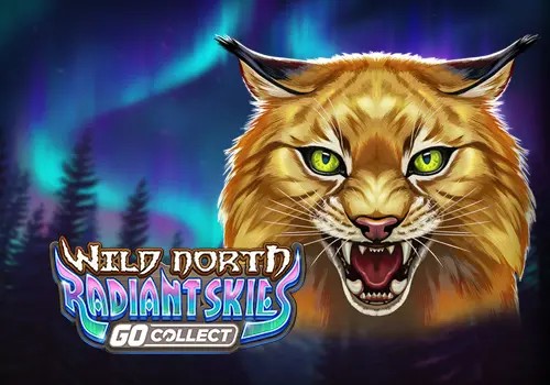 SPORTS SOS | Wild North Radiant Skies GO Collect 확인 필수