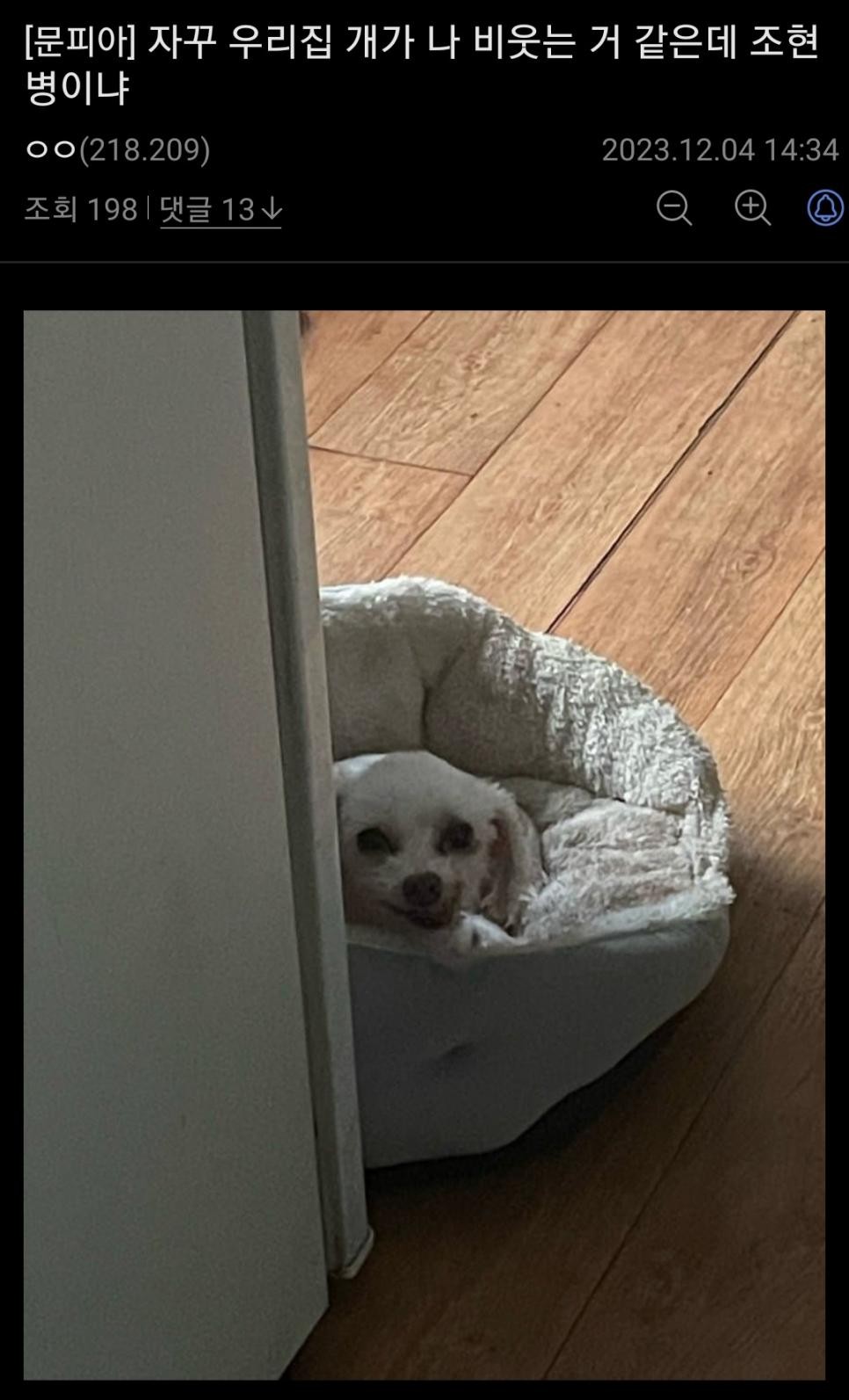 SPORTS SOS | 자기가 조현병이 의심된다는 디시인.jpg 정보