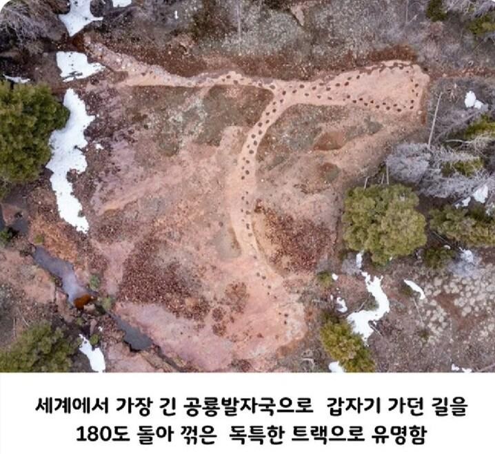 SPORTS SOS | 고민이 많아 보였던 공룡의 발자국.jpg 확인 필수