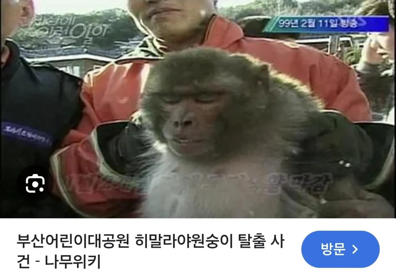 SPORTS SOS | 늑구 범부로 만드는 탈출 대선배