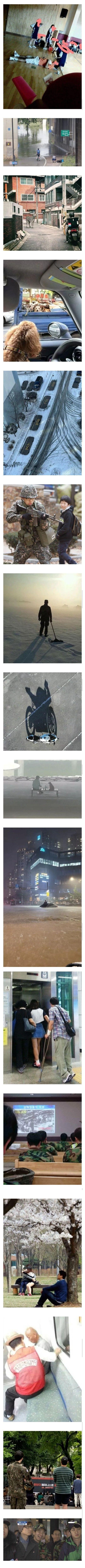 SPORTS SOS | 대한민국 퓰리처급 역대 사진 [속보]