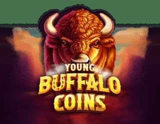 SPORTS SOS | Young Buffalo Coins 확인 필수