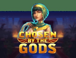 SPORTS SOS | Chosen by the Gods [속보]