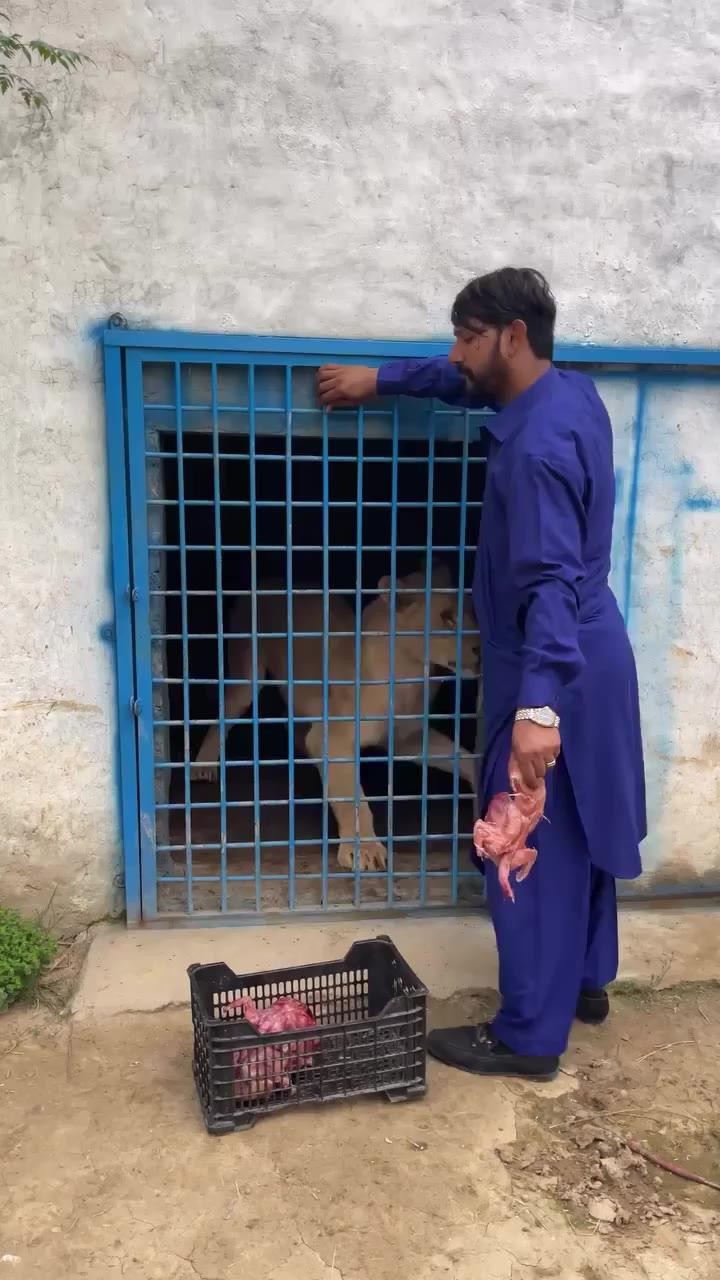 SPORTS SOS | 극한 직업 동물원 사육사... (필독)