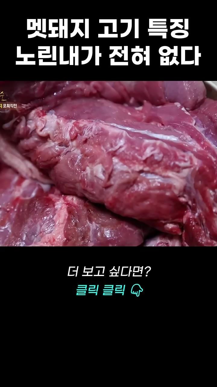 SPORTS SOS | 야생 멧돼지고기.gif 확인 필수