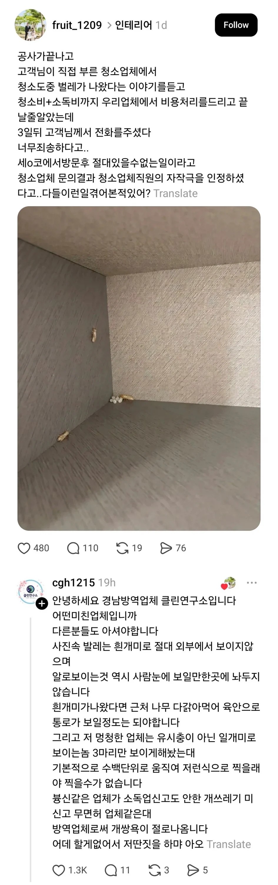 SPORTS SOS | 청소 도중 벌레 나왔다고 사기친 청소업체 (필독)