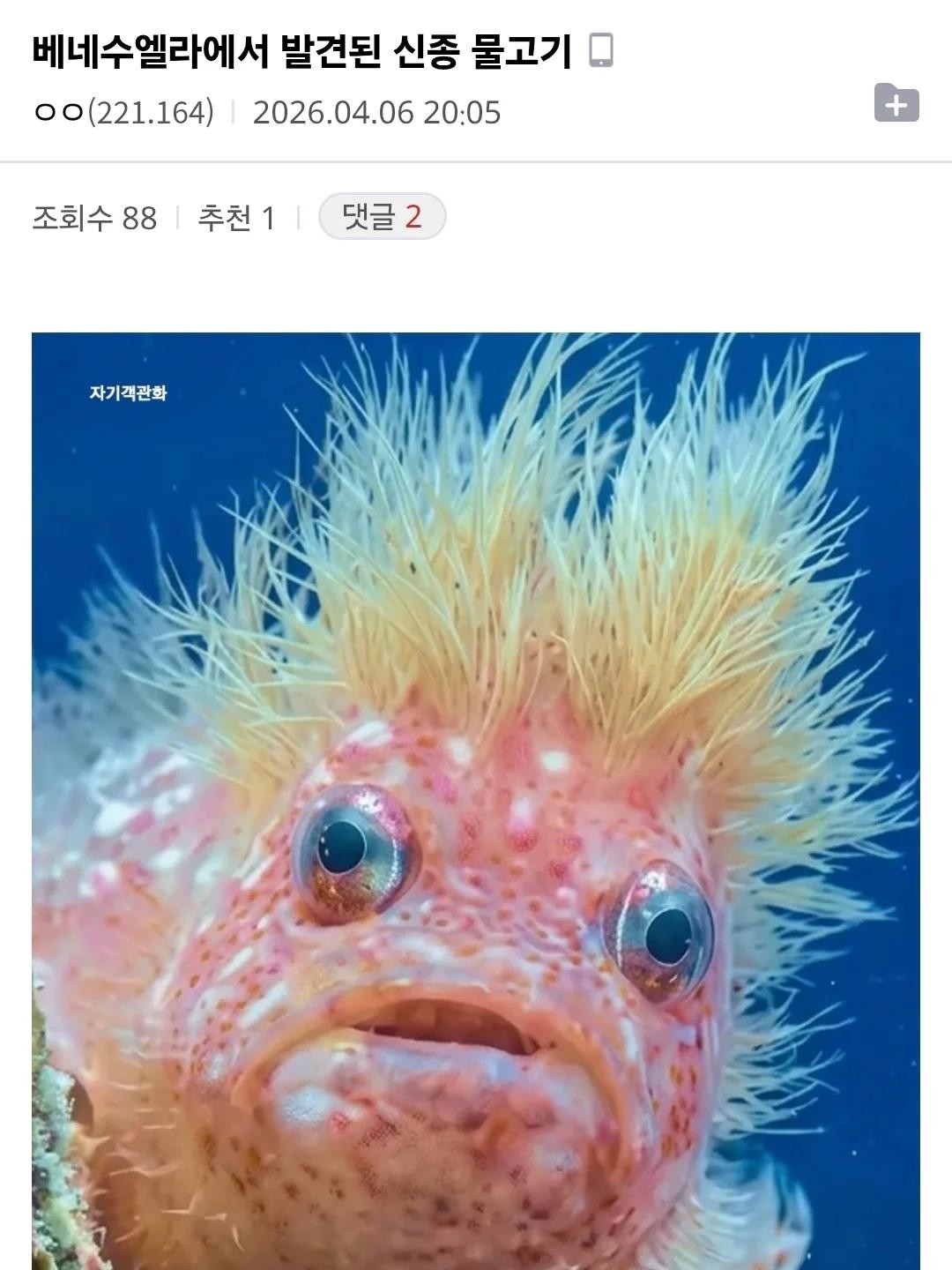 SPORTS SOS | 보리스? 트럼프? 정보