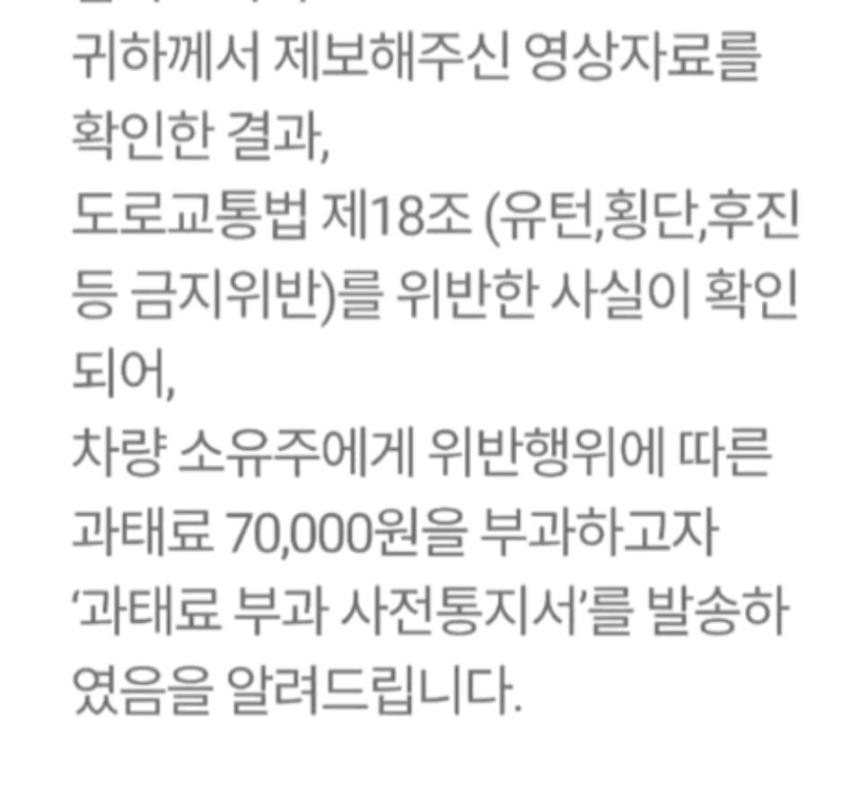 SPORTS SOS | 예술적인 신호위반 확인 필수