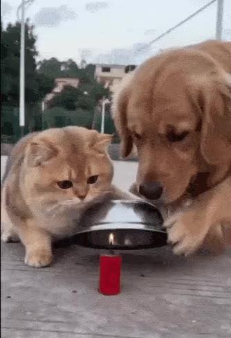 SPORTS SOS | 요즘 램값이 오르는 이유