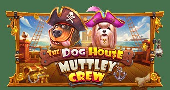 SPORTS SOS | The Dog House - Muttley Crew 확인 필수