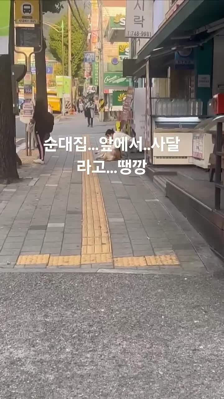 SPORTS SOS | 순대집 앞에서 땡깡 부리는 댕댕이 확인 필수