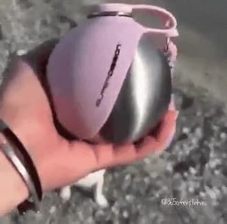 SPORTS SOS | 반려견을 위한 물병 [속보]