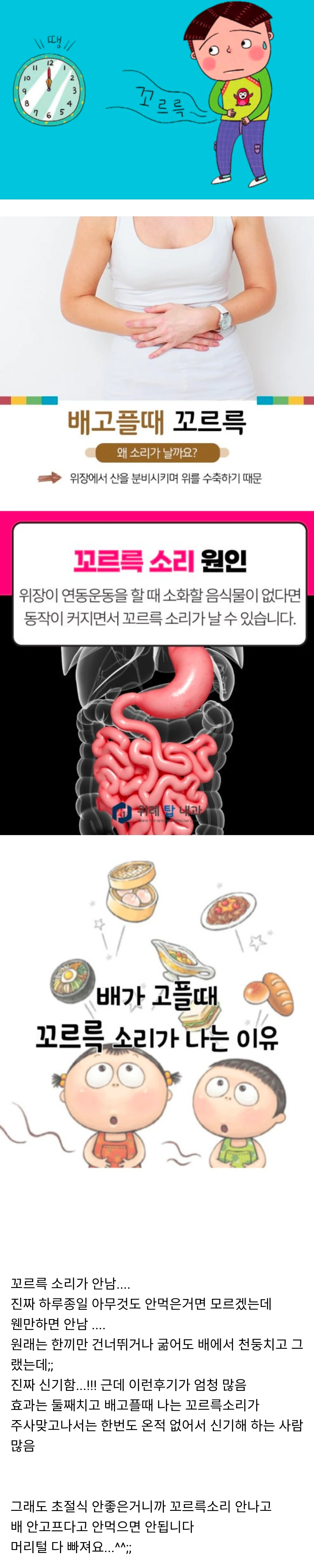 SPORTS SOS | 마운자로 위고비 맞는 사람들의 진짜 신기한 공통된 후기 정보