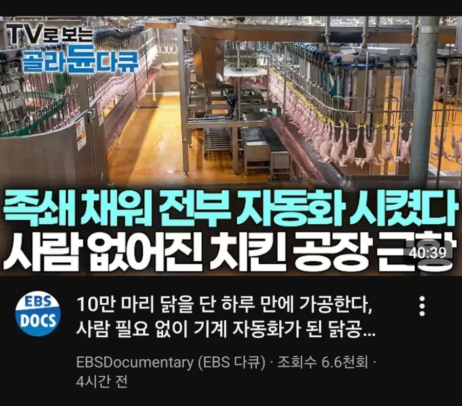 SPORTS SOS | 요즘 치킨 공장 근황 ㄷㄷㄷ.jpg 정보