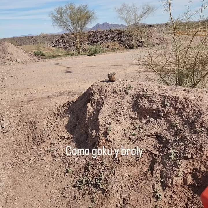 SPORTS SOS | 싸움 구경 할래 (필독)