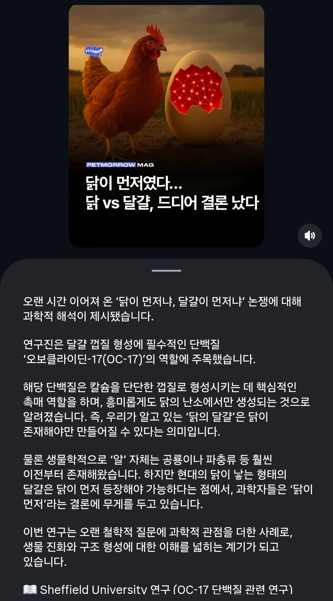 SPORTS SOS | 닭이 먼저냐 달걀이 먼저냐 결론 남 정보