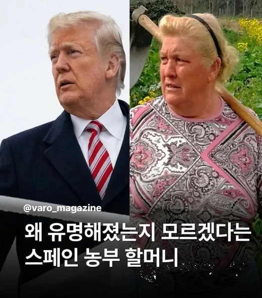 SPORTS SOS | 왜 유명했는지 모르겠다는 스페인 할머니 정보