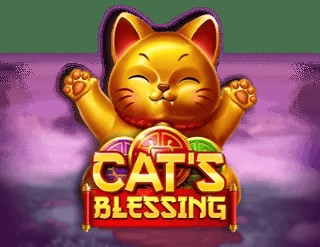 SPORTS SOS | Cat's Blessing 확인 필수
