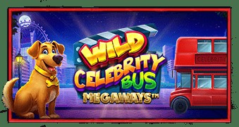SPORTS SOS | Wild Celebrity Bus Megaways™(와일드 셀러브리티 버스 메가웨이즈) (필독)